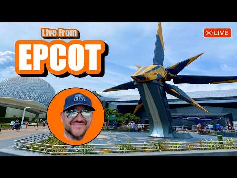 Live webcam of Theme Park Giant