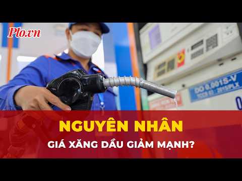 Nguyên nhân giá xăng dầu giảm mạnh, có loại giảm gần 8.000 đồng/lít? | Tin nhanh- PLO