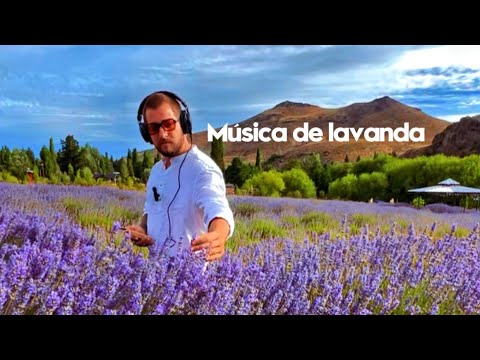 1 HORA de MÚSICA de LAVANDA · Calma la Ansiedad y Regula tu Energía ·  Frecuencia Natural 432hz