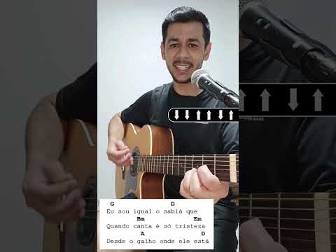 Fome De Medo - Jeca do Brejo