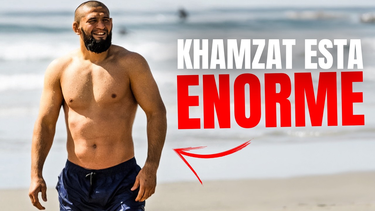 Khamzat Chimaev está ENORME!
