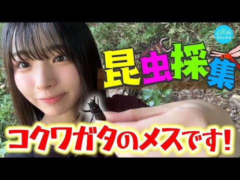日向坂ちゃんねる「【自由研究】生き物大好き大野愛実が虫採りに行ってみた！【石神井公園】」