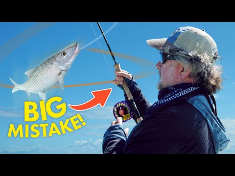 How To Fight an Aggressive Fish on a Fly Rod!