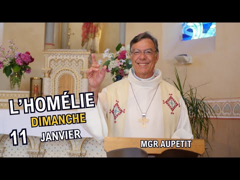 Homily of Bishop Aupetit, January 11, 2026