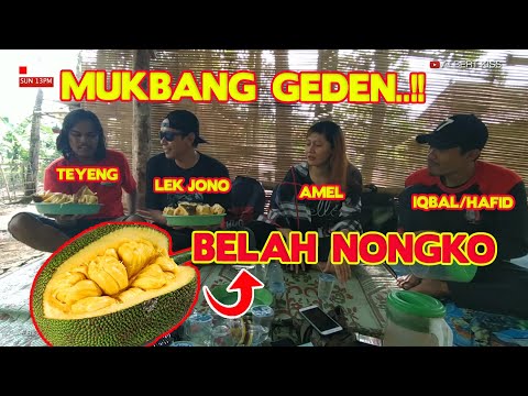 inpo-panen-nongko-geden-hajar-pamuji