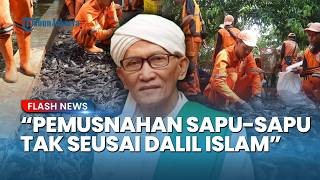 Cara Pemusnahan Ikan Sapu-sapu Ditentang MUI! Penguburan Hidup-hidup Tidak Sesuai dengan Dalil Islam