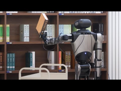 Book publishers forced to navigate AI and the stories about misuse are stunning