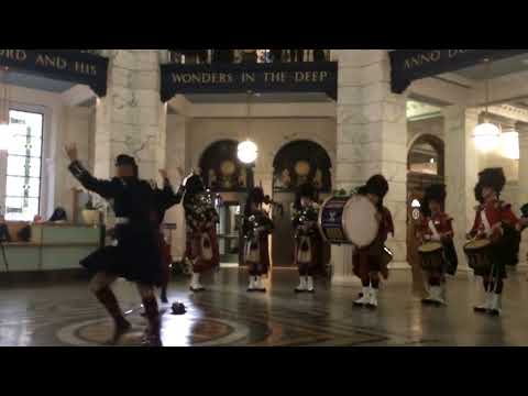 42nd Highland Regiment Dancers (blackwatch)