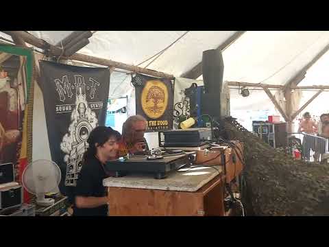 Roots of Joy on Wading Birds sound system @ Dub the Wood festival 2023