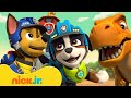 PAW Patrol S Best Dino Rescue Moments W Rex 10 Minutes Nick Jr