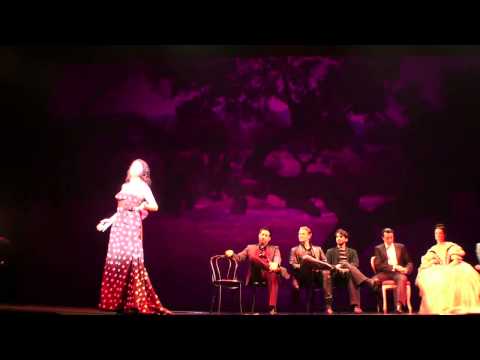 Musical meets Opera4 - Habanera der Carmen