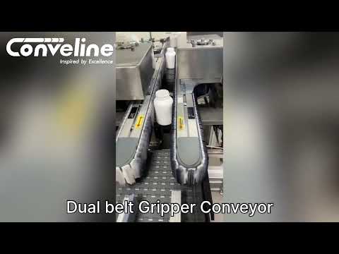 Flexible Chain Conveyor