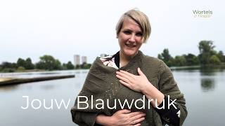 De blauwdruk van jouw zenuwstelsel: van controle naar overgave #regulatie #hsp