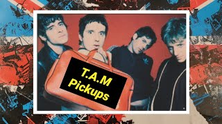 These Animal Men CD Pickups