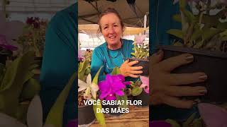 ESTA É CHAMADA DE FLOR DAS MÃES