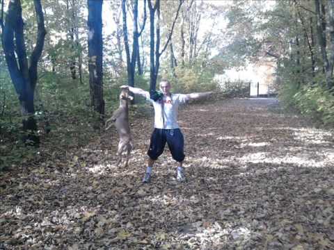 DzP, Gdc, Rdk, Szczur   - Myśli (prod. Dual)