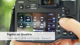 Sigma sd Quattro - Sigmas erste DSLM-Kamera im Test [Deutsch]