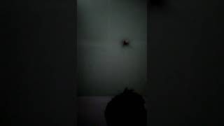 Download lagu St12 Jangan pernah berubah •Story WA •Video 30 detik mp3