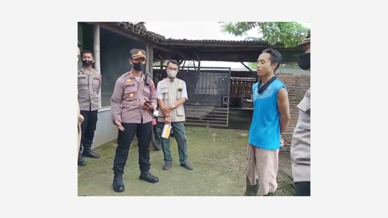 Monitoring PMK di Peternakan Mendo Wangi