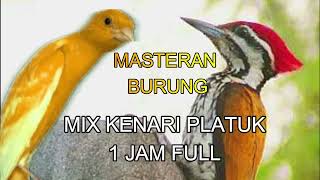 Download lagu MIX KENARI PLATUK mp3