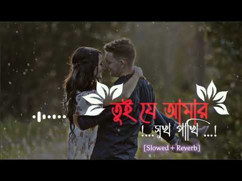 তুই যে আমার সুখ পাখি || Tui Je Amar Shukh Pakhi || (Slowed and Reverb) Bengali lofi Song