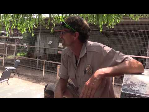 Missing Employee Search (Joe Exotic TV)