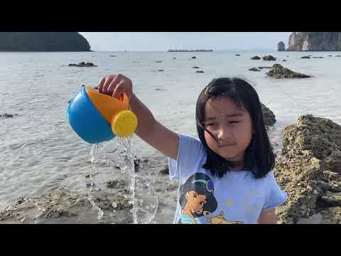 Jaidee plays on the beach (ใจดีเล่นน้ำบนชายหาด)