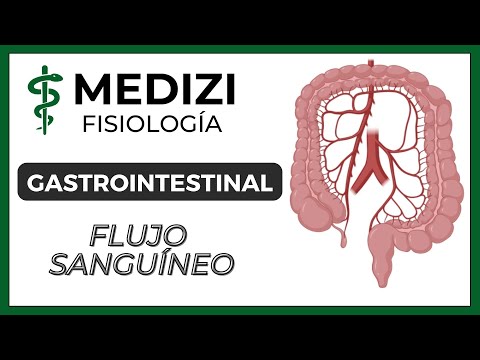 Class 44 Gastrointestinal Physiology - Blood Flow (IG:@doctor.paiva)