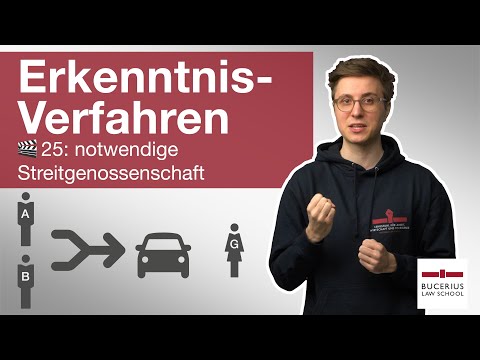 🟨 Necessary joint proceedings | 🎬 25 | ZPO discovery proceedings