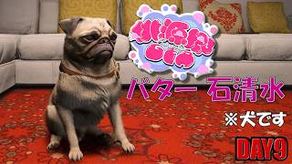 【桃源郷GTA S2】漢は黙ってマーキング 9日目【バター 石清水 / 帆立】JP/EN