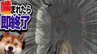 噛まれたら即終了 バイオハザードRE:4 / part416