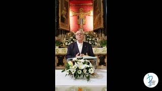 Download Lagu Commento al brano di Gv 6, 44-51 a cura di Don Benedetto Rossi Thumbnail