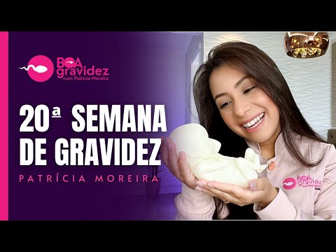 20 WEEKS PREGNANT (Updated) - Human Formation Series | Life-size baby, 3D printing