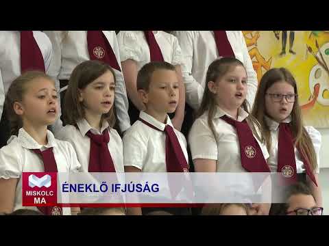 Videó előnézet