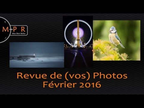 Revue de (vos) photos - Février 2016