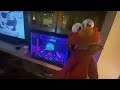 Elmo World Dorothy Food Question