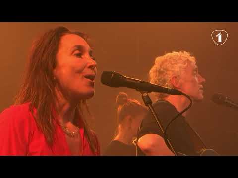 WESPEN OP DE APPELTAART - SPINVIS Live @ Radio 1 Sessie