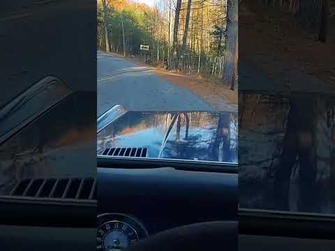 1977 Ford Bronco Ranger