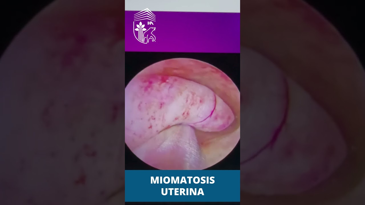 Griselda Reyes Torres-124