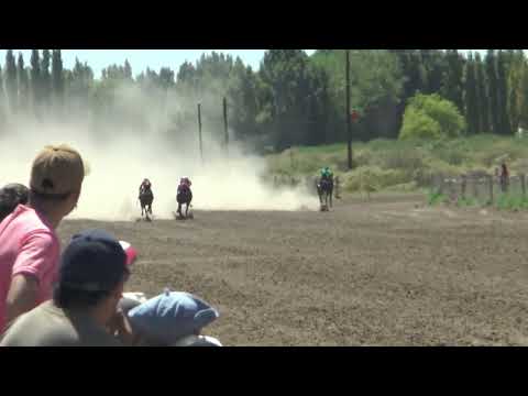 BUDIN  Club Hipico "Cabo Alarcon" - Picun Leufu  -  15-01-2023