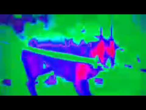 ESQUIZOCYPHER ESTOURADO