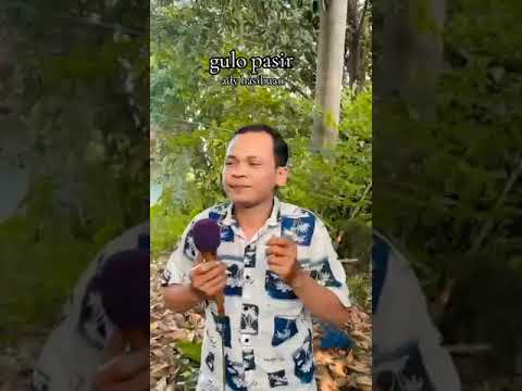 gulo pasir parro simamora cover ady hasibuan