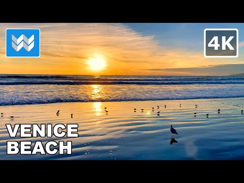 [4K] Sunset at Venice Beach in Los Angeles, California USA Walking Tour 🎧 Relaxing Beach Waves