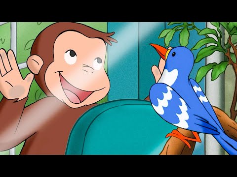 ¿Un animal en peligro de extinción? | Jorge El Curioso En Español