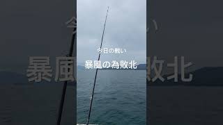 今日の釣果報告 #釣り #fishing