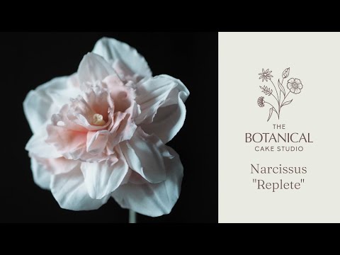 **NEW CLASS** Narcissus "Replete" (Double Daffodil) Sugar Flower Class Tutorial #sugarflowers