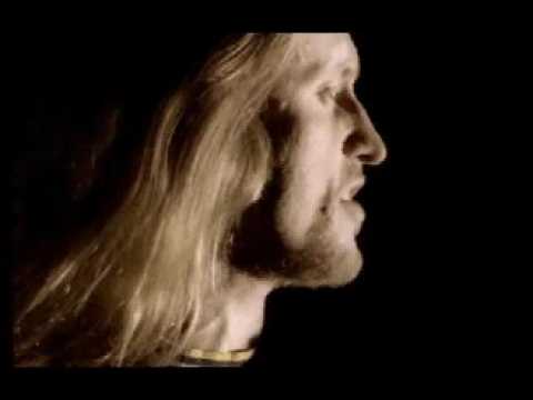 No Guitars ! - Cerna ruze