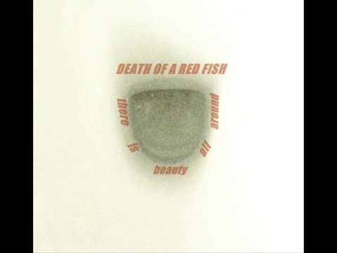 Death Of A Red Fish - There Is Beauty All Around