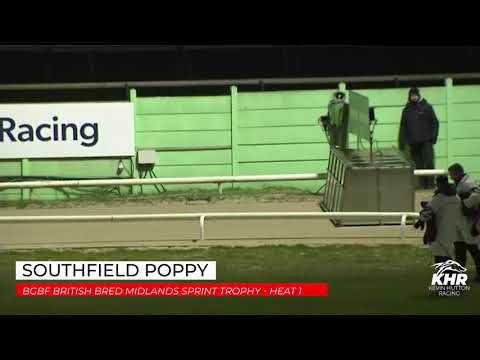 Southfield Poppy - BGBF British Bred Midlands Sprint Trophy   Heat 1