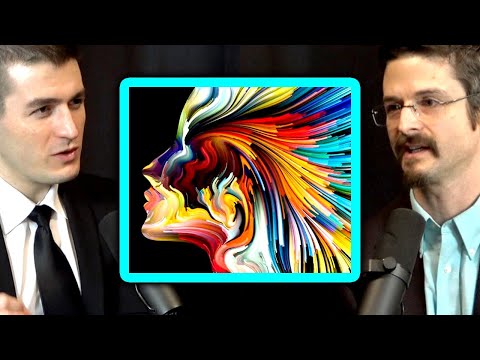 Psychedelics reveal that reality is a hallucination | Matthew Johnson and Lex Fridman